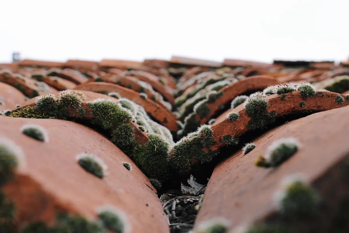 Clay vs Concrete vs Slate Roof Tiles: A UK Homeowner's Comparison